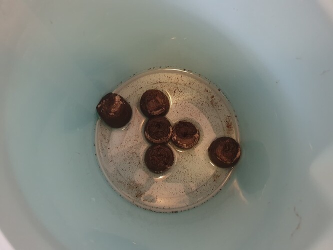 20231010_141208 - Kopie