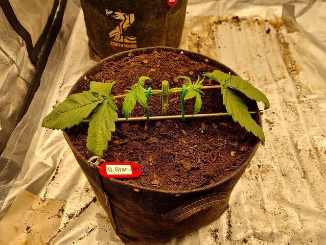 Growreport Bild 22