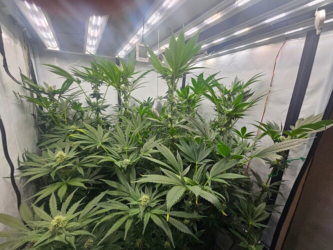 Growreport Bild 3
