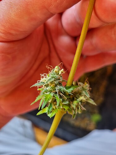Growreport Bild 14