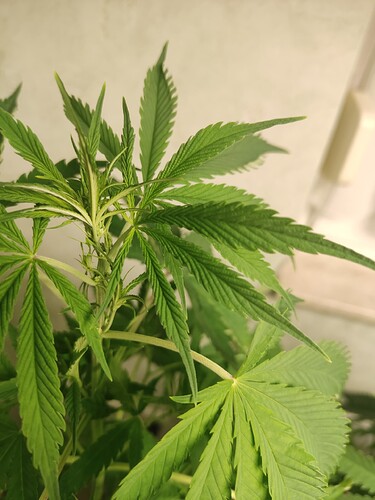 Growreport Bild 2