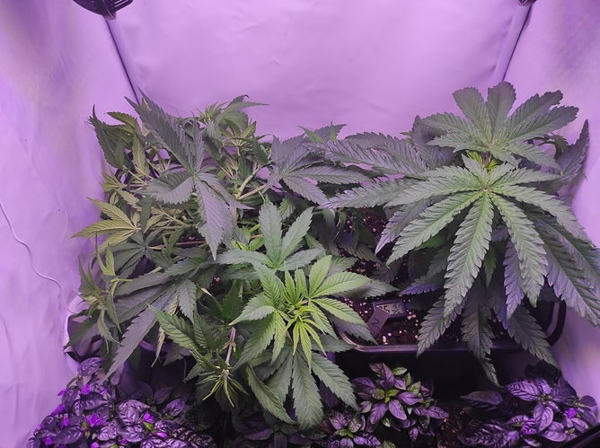 Growreport Bild 8