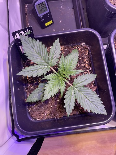 Growreport Bild 8
