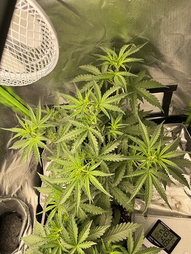 Growreport Bild 28