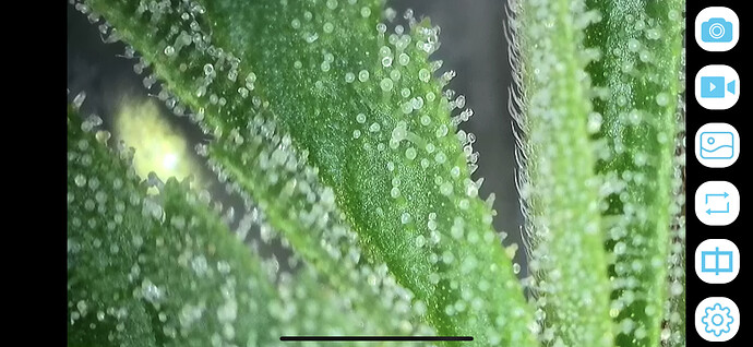 Growreport Bild 10
