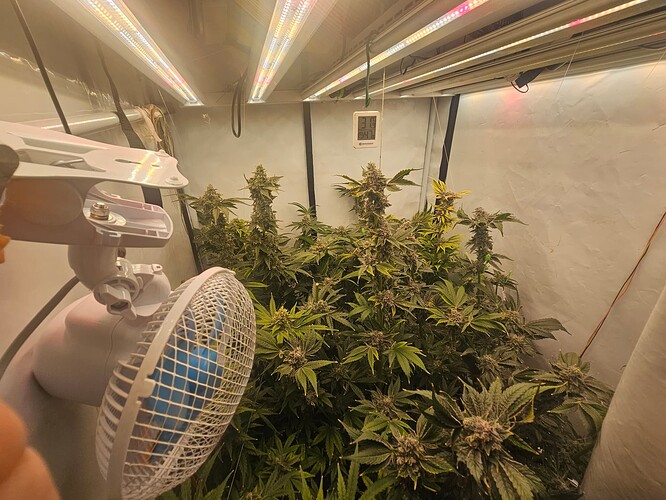 Growreport Bild 3