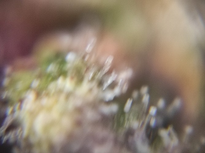 Growreport Bild 12