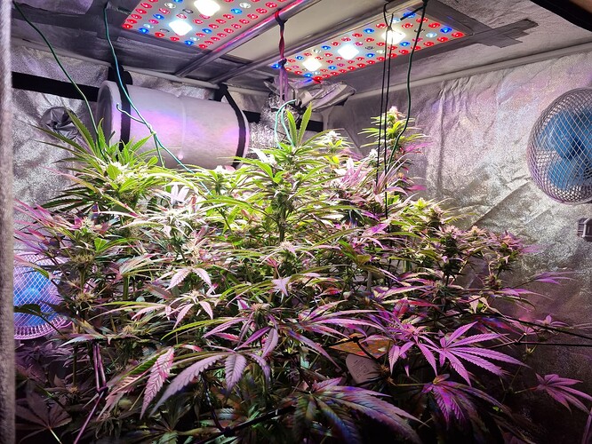 Growreport Bild 15