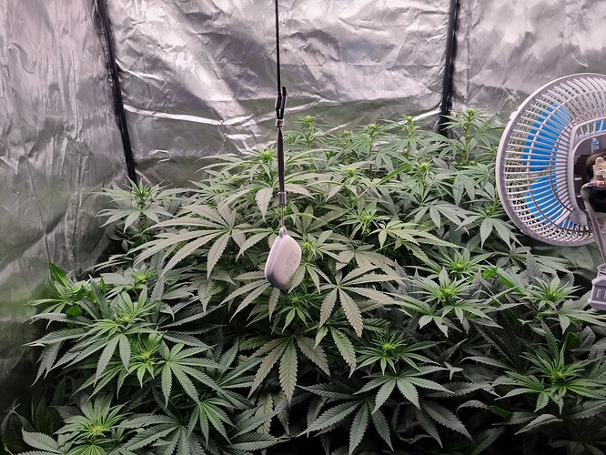 Growreport Bild 14