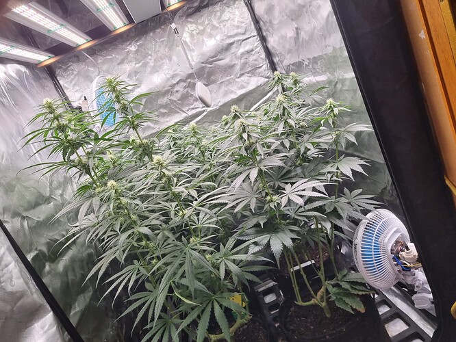 Growreport Bild 2