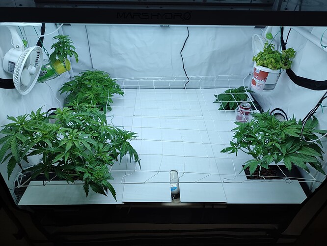 Growreport Bild 21