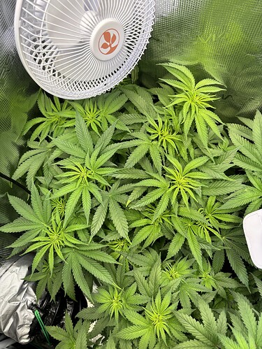 Growreport Bild 8