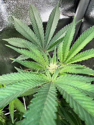 Growreport Bild 21