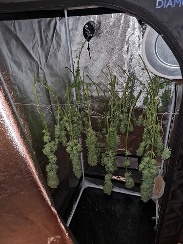 Growreport Bild 2