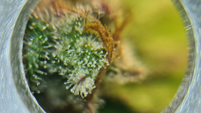 Growreport Bild 17