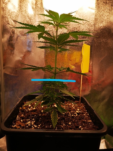 Growreport Bild 2