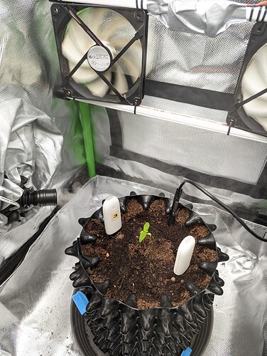 Growreport Bild 1