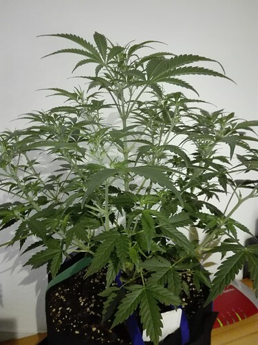 Growreport Bild 11