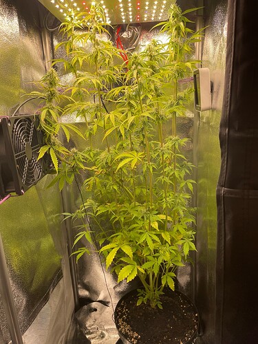 Growreport Bild 2