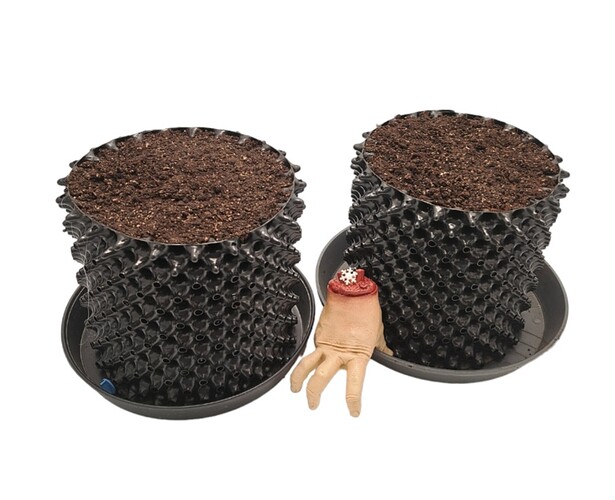 Screenshot_20231124_131736