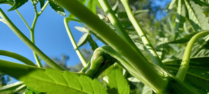 Growreport Bild 3