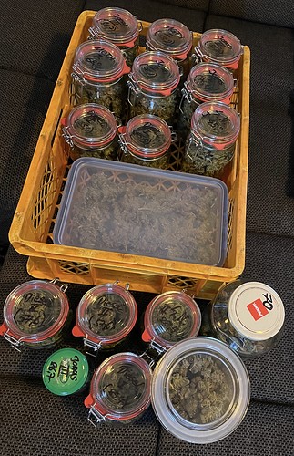 Growreport Bild 1