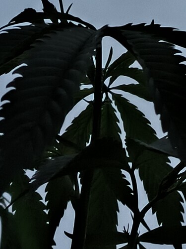 Growreport Bild 9