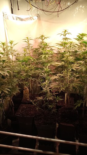 Growreport Bild 7