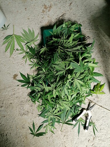 Growreport Bild 21