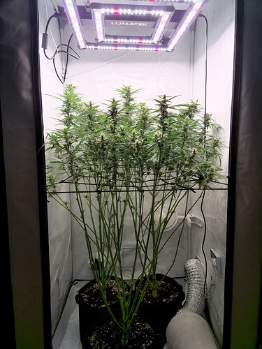 Growreport Bild 5