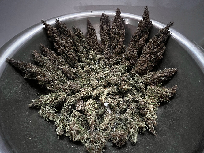 Growreport Bild 11