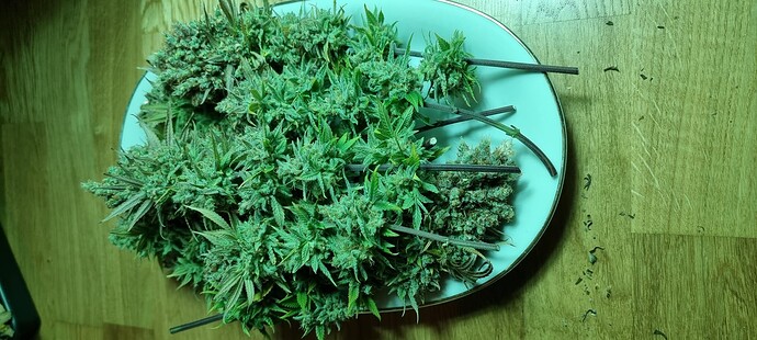 Growreport Bild 10