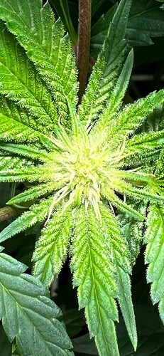 Growreport Bild 10