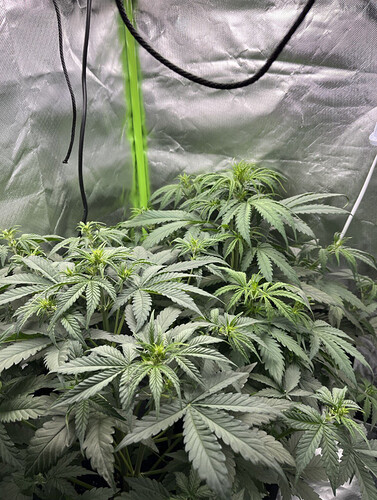 Growreport Bild 10