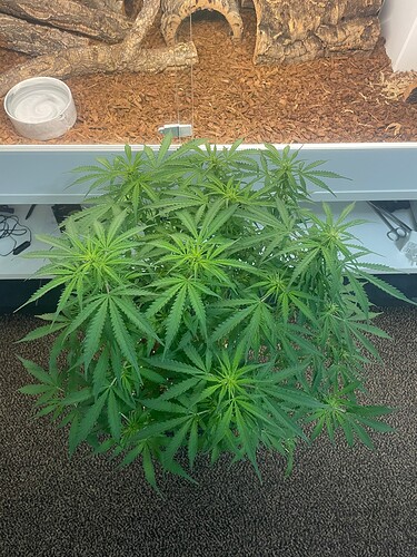 Growreport Bild 20