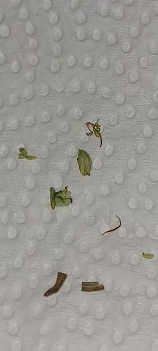 Growreport Bild 11