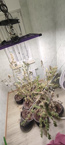 Growreport Bild 1