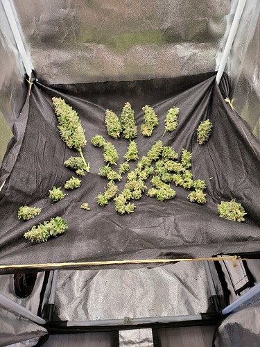Growreport Bild 11