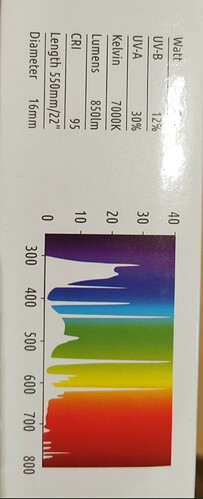 Growreport Bild 4