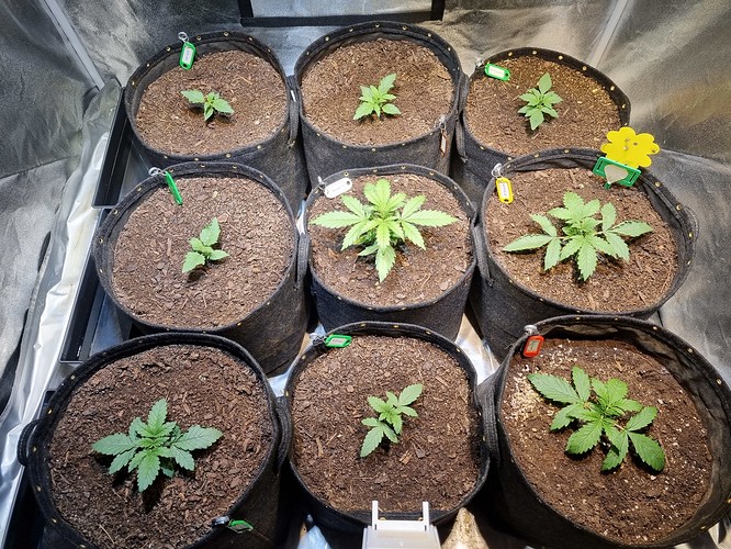 Growreport Bild 14