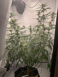 Growreport Bild 11