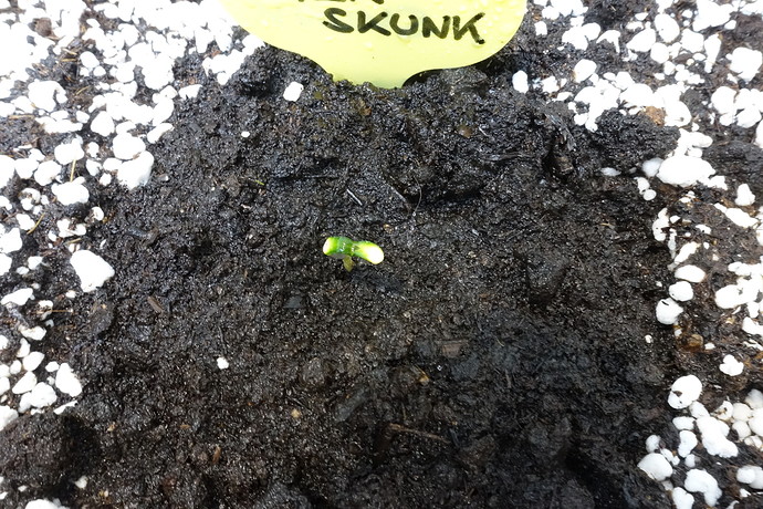 Growreport Bild 24