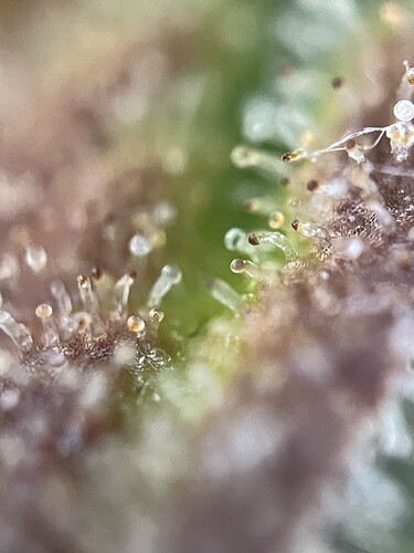 Growreport Bild 19