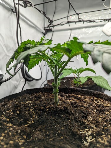 PXL_20231112_153616307