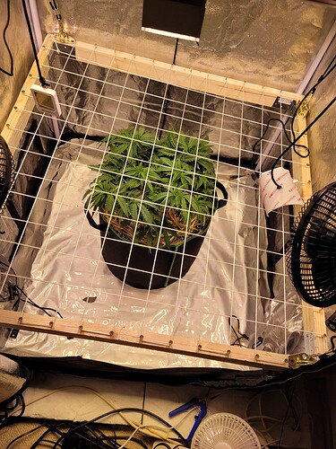 Growreport Bild 5