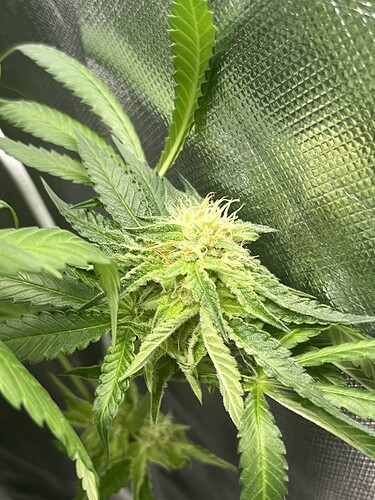 Growreport Bild 14