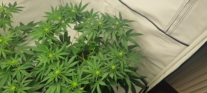 Growreport Bild 13