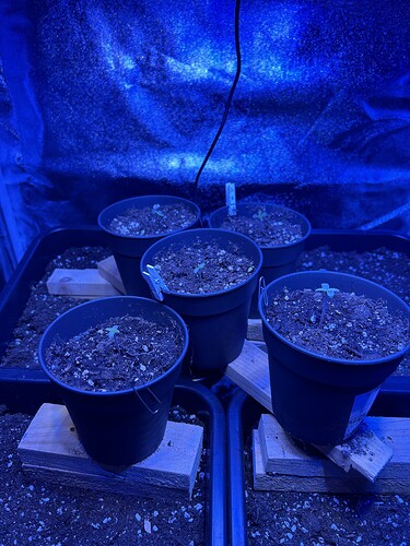 Growreport Bild 15