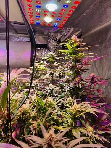 Growreport Bild 16