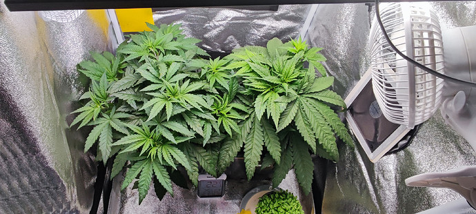 Growreport Bild 1